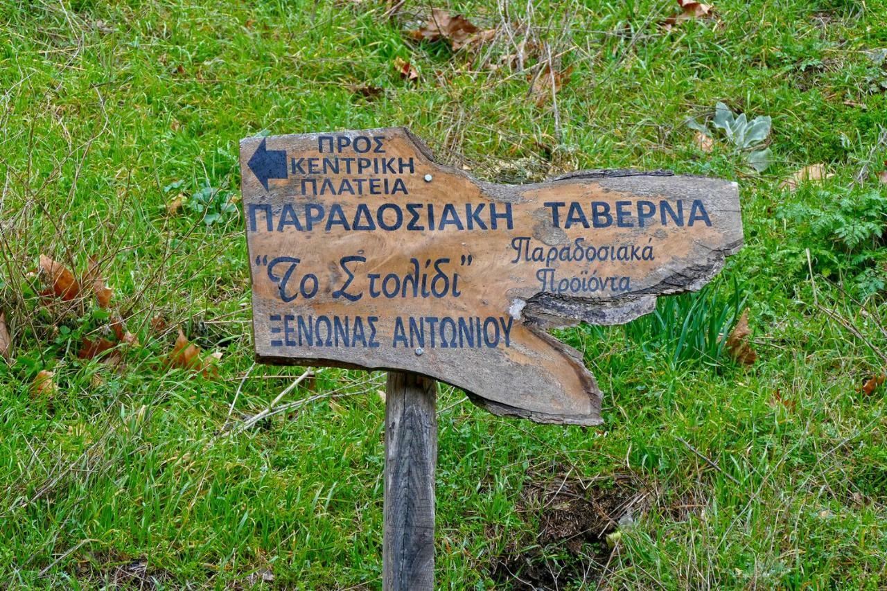 Antoniou Guesthouse Kastanitsa Zewnętrze zdjęcie